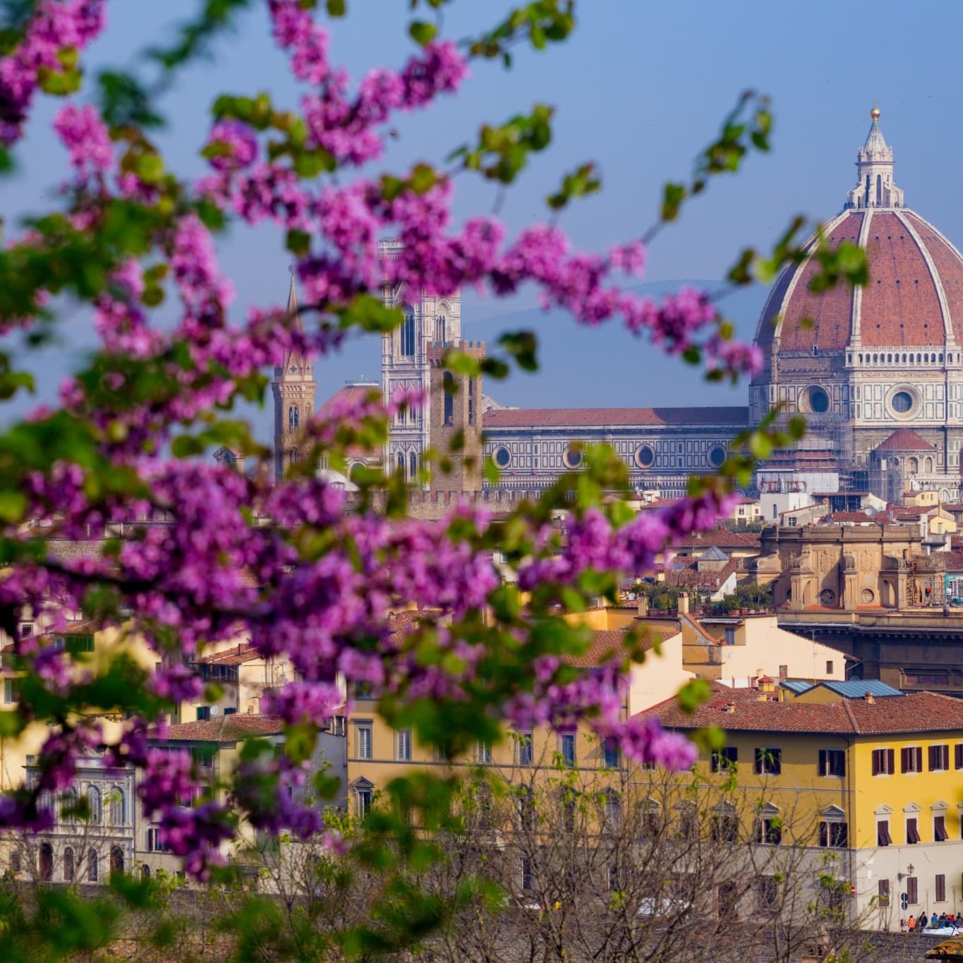 Firenze