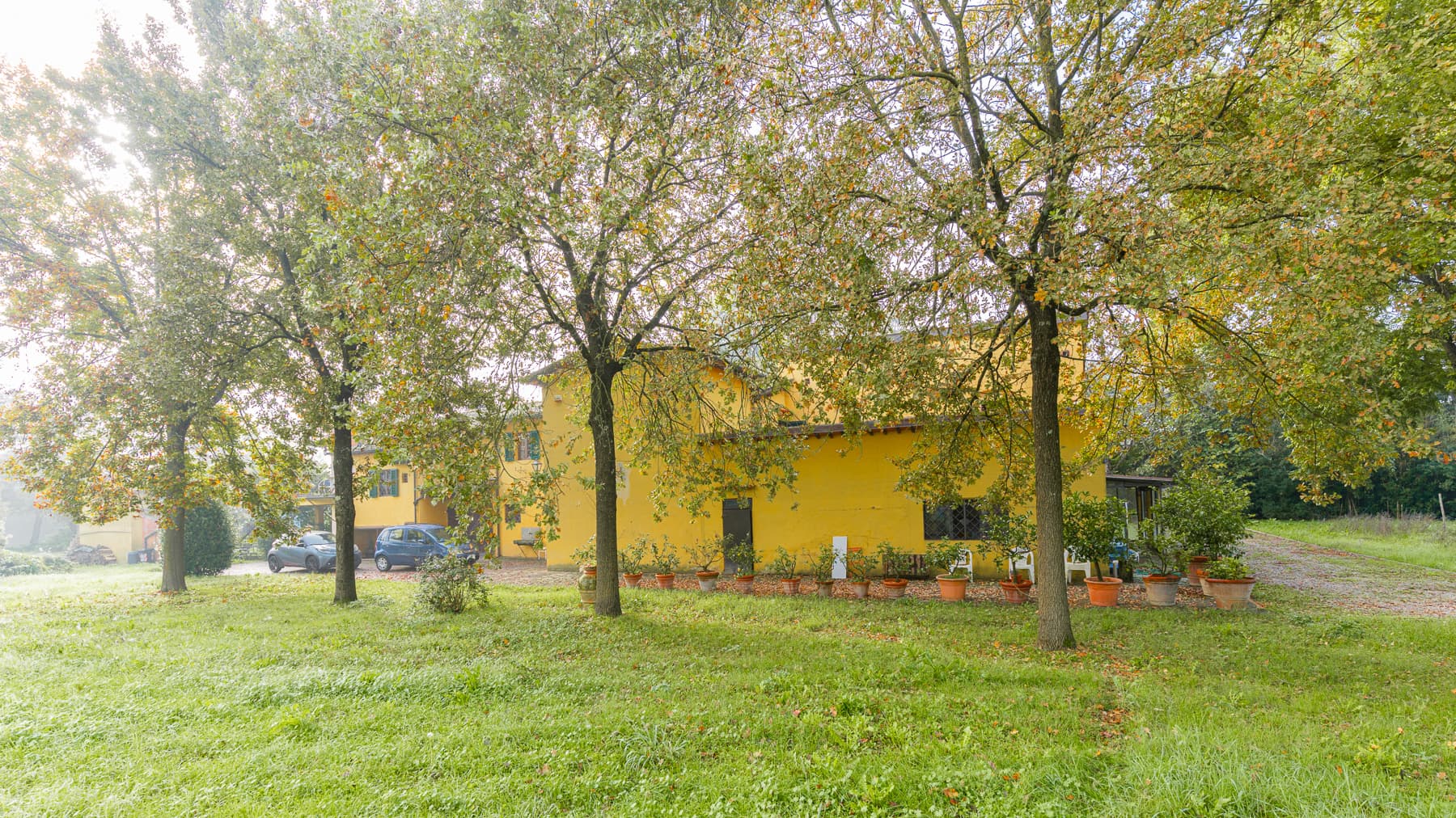 Big Image 8