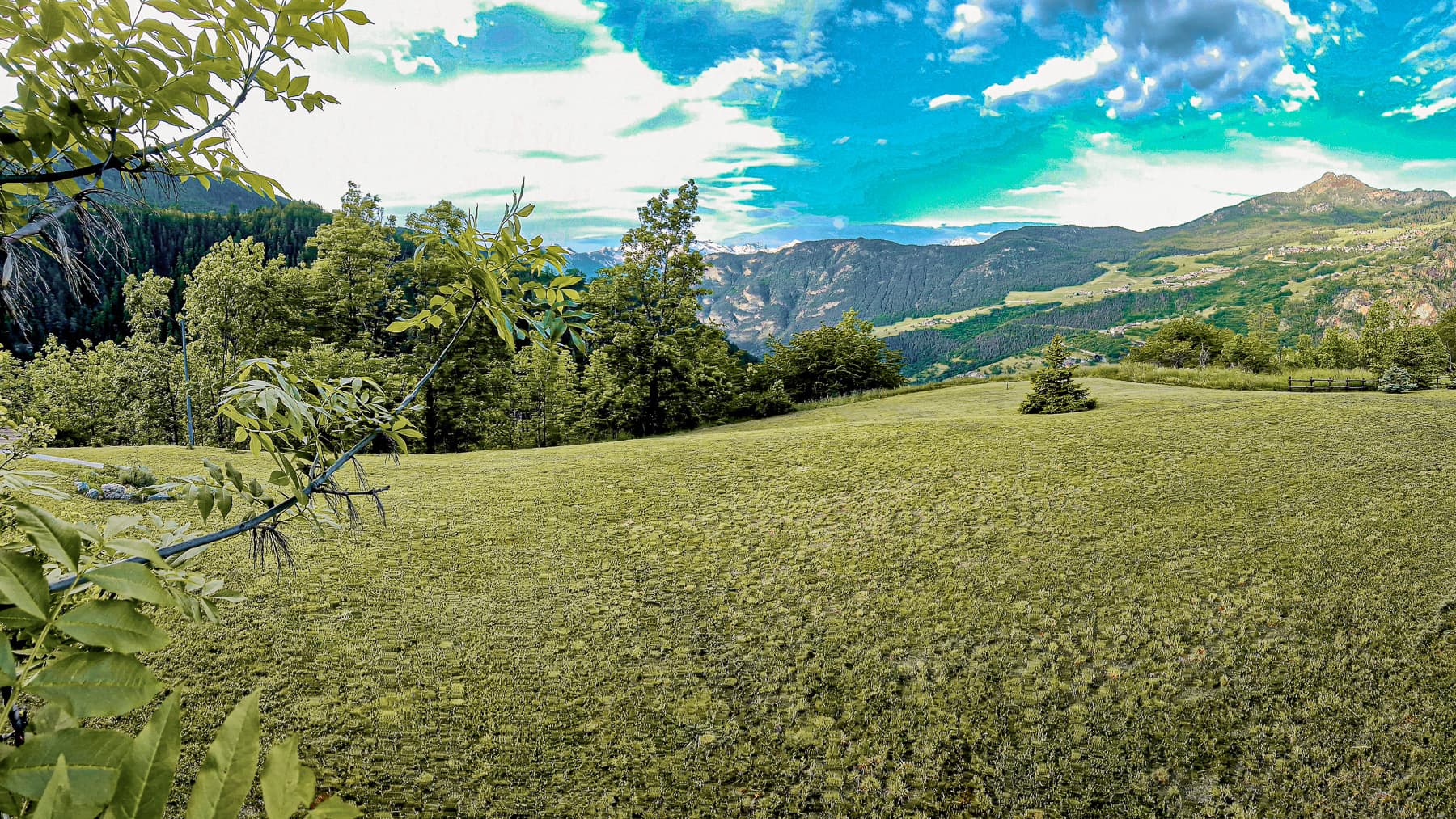 Big Image 18