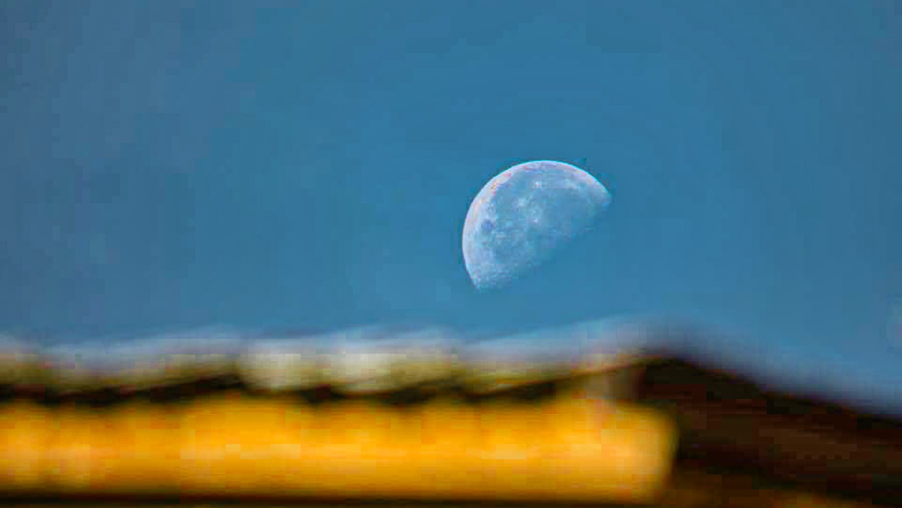 Big Image 24