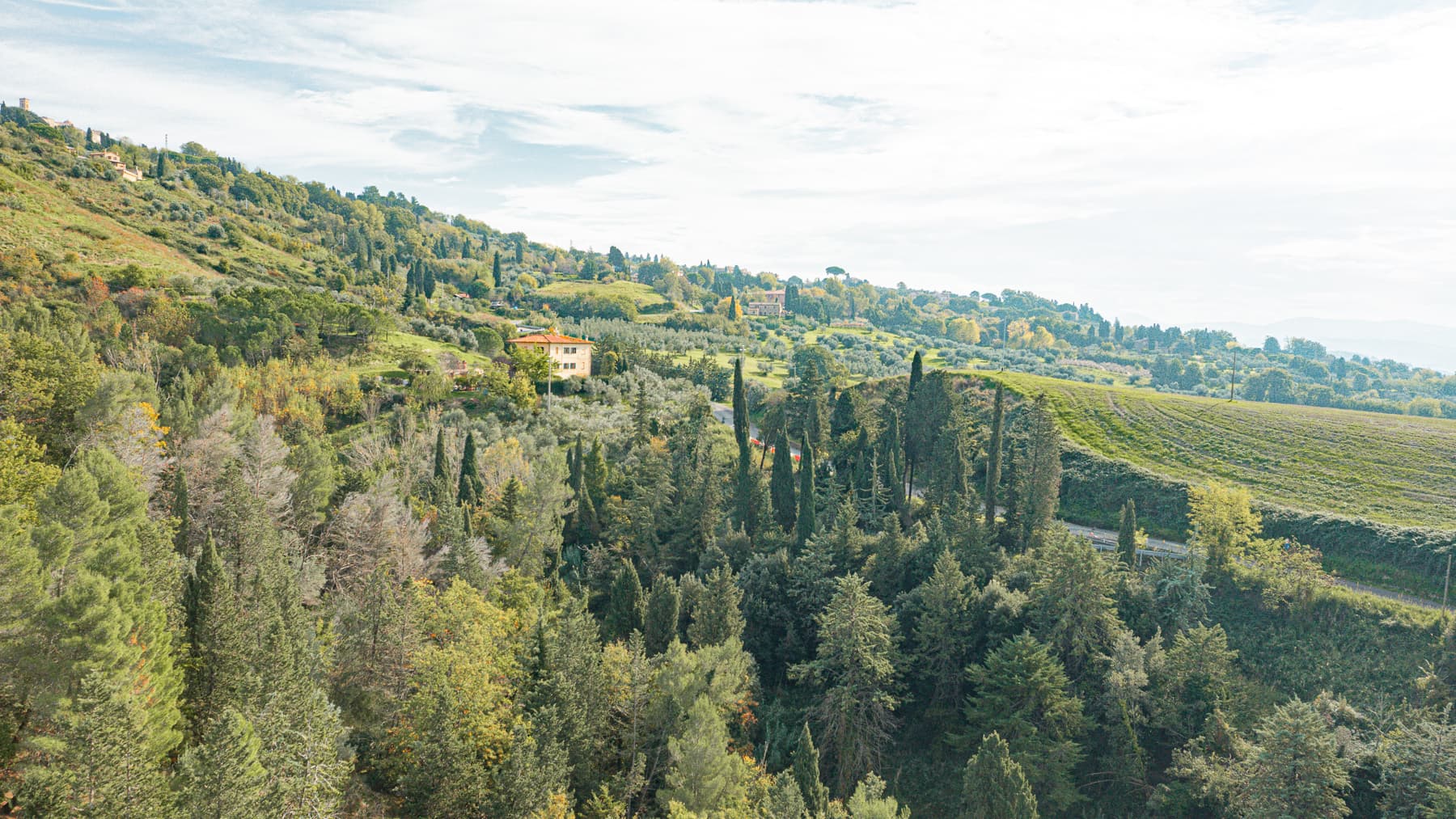 Big Image 9