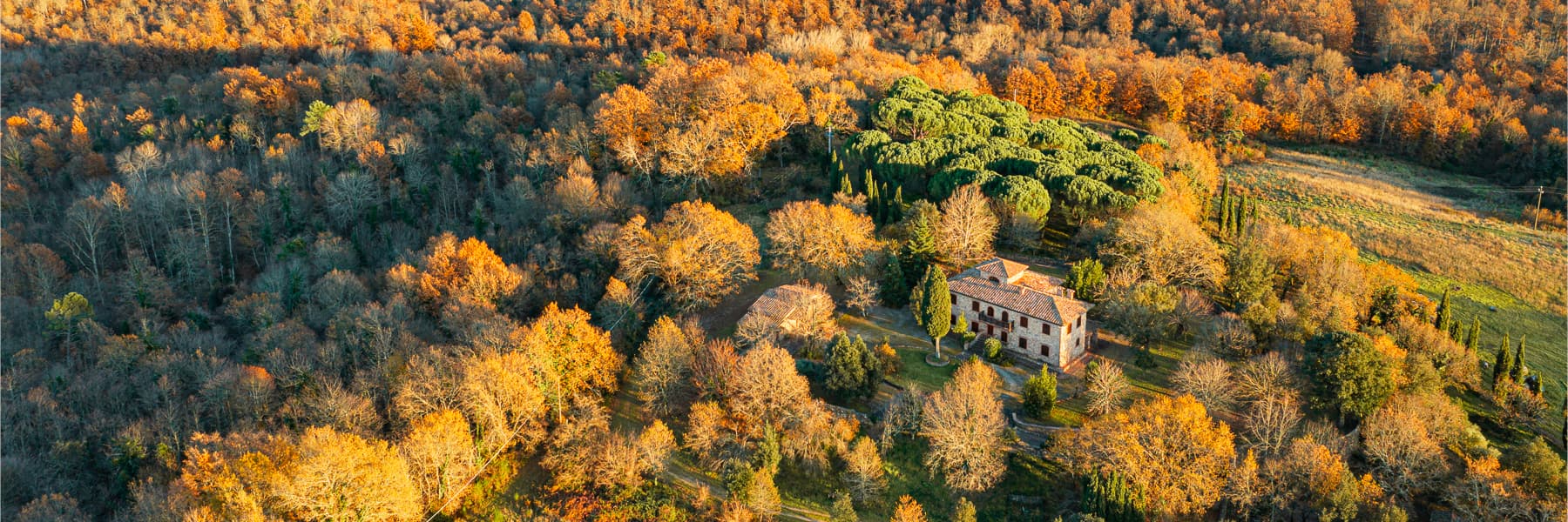 Charming Villa Amidst Tuscany's Rolling Hills
