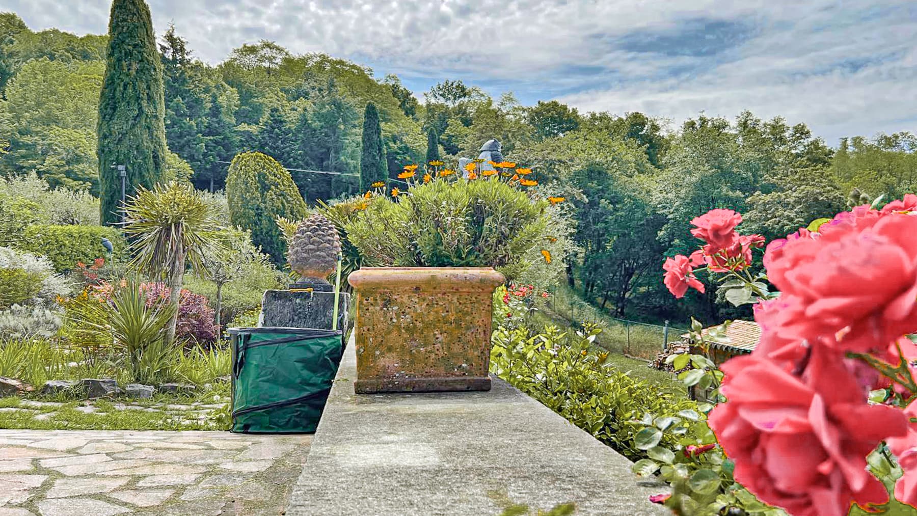 Big Image 14