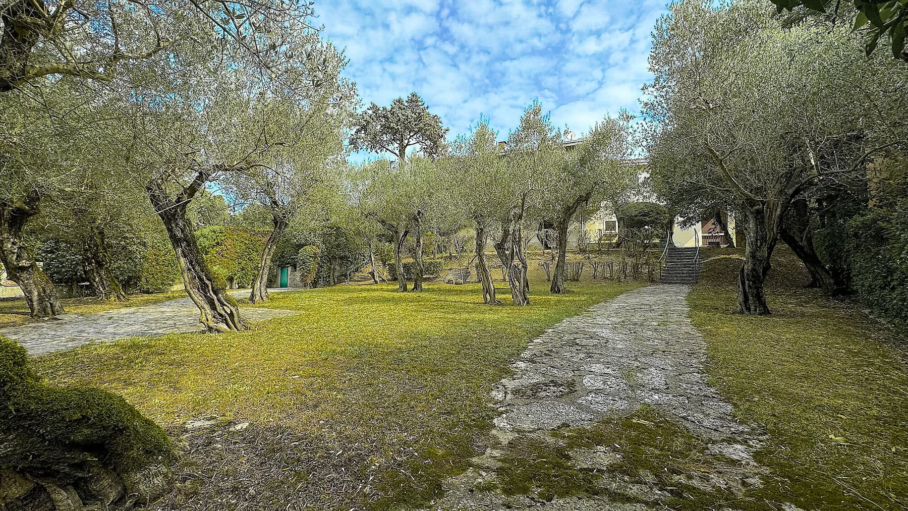 Big Image 8