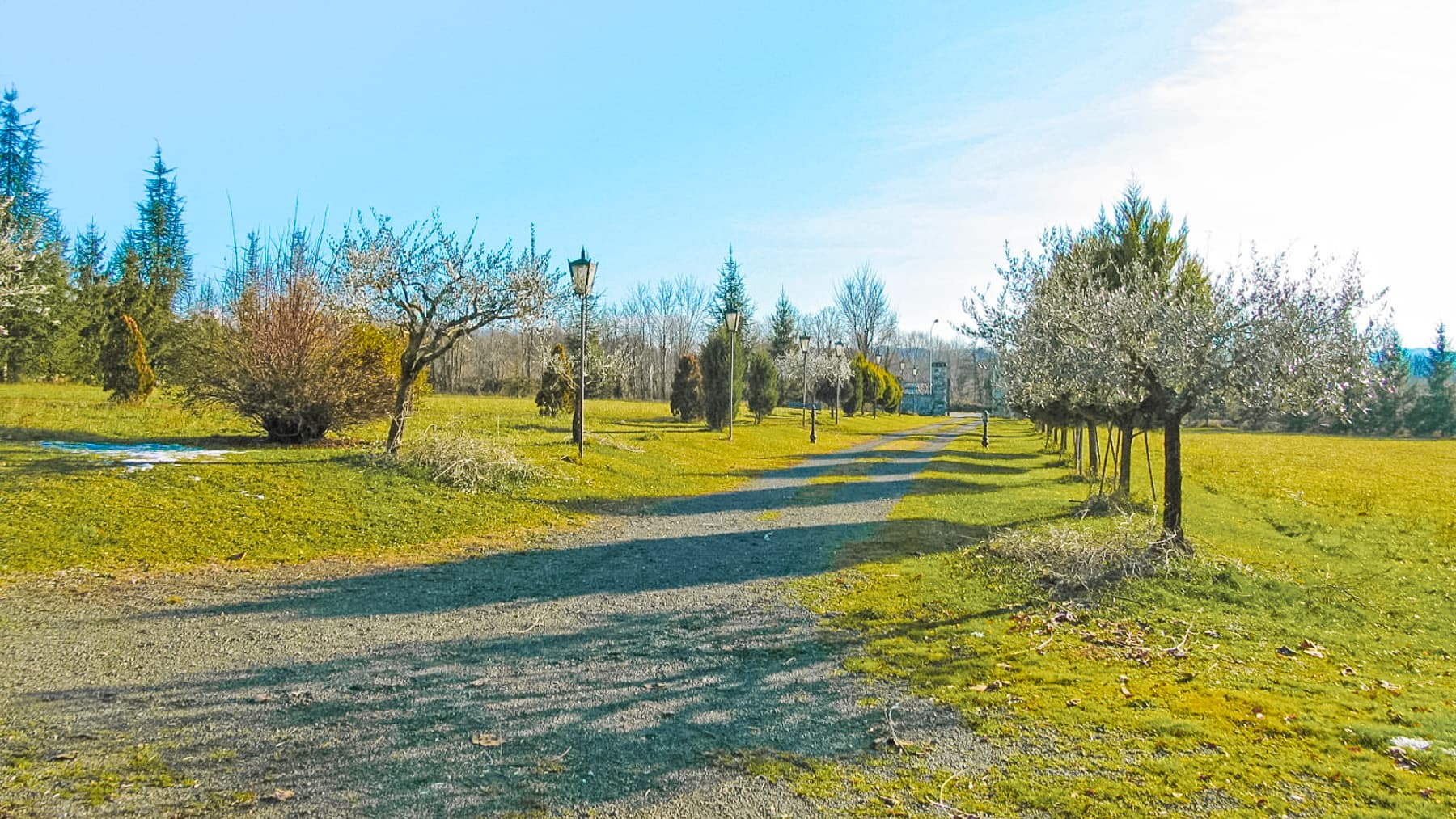 Big Image 20