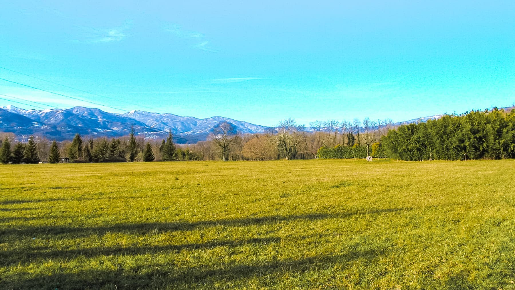 Big Image 21