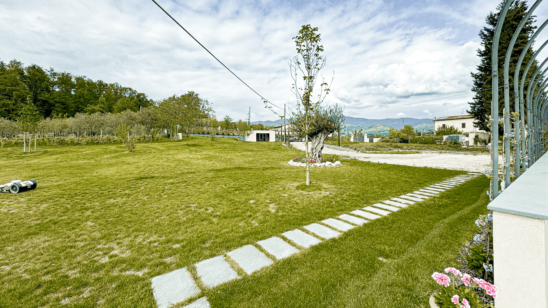 Big Image 1