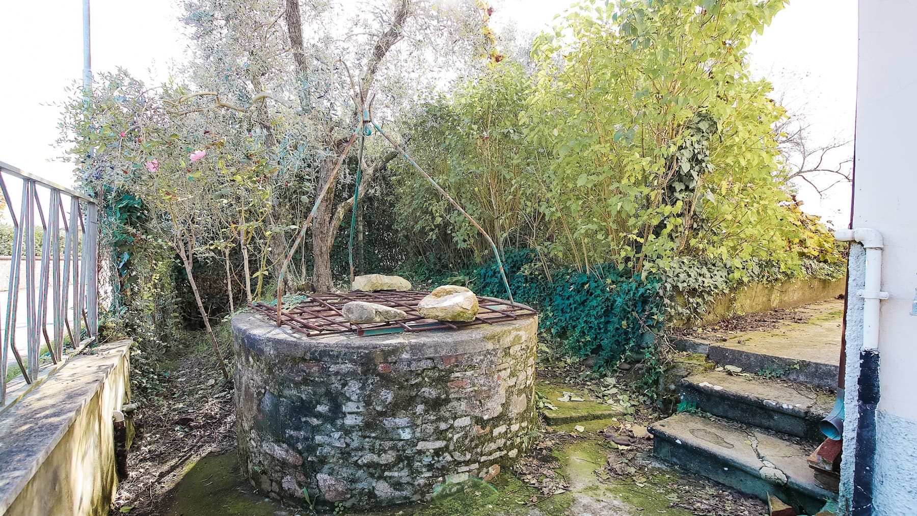 Big Image 23