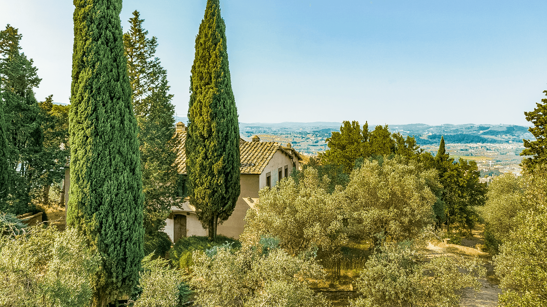 Big Image 18
