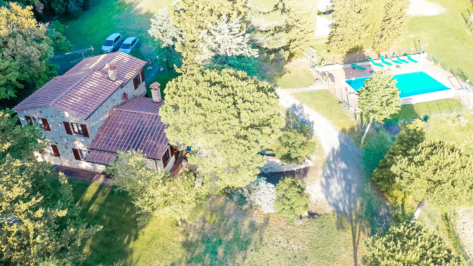 Big Image 2