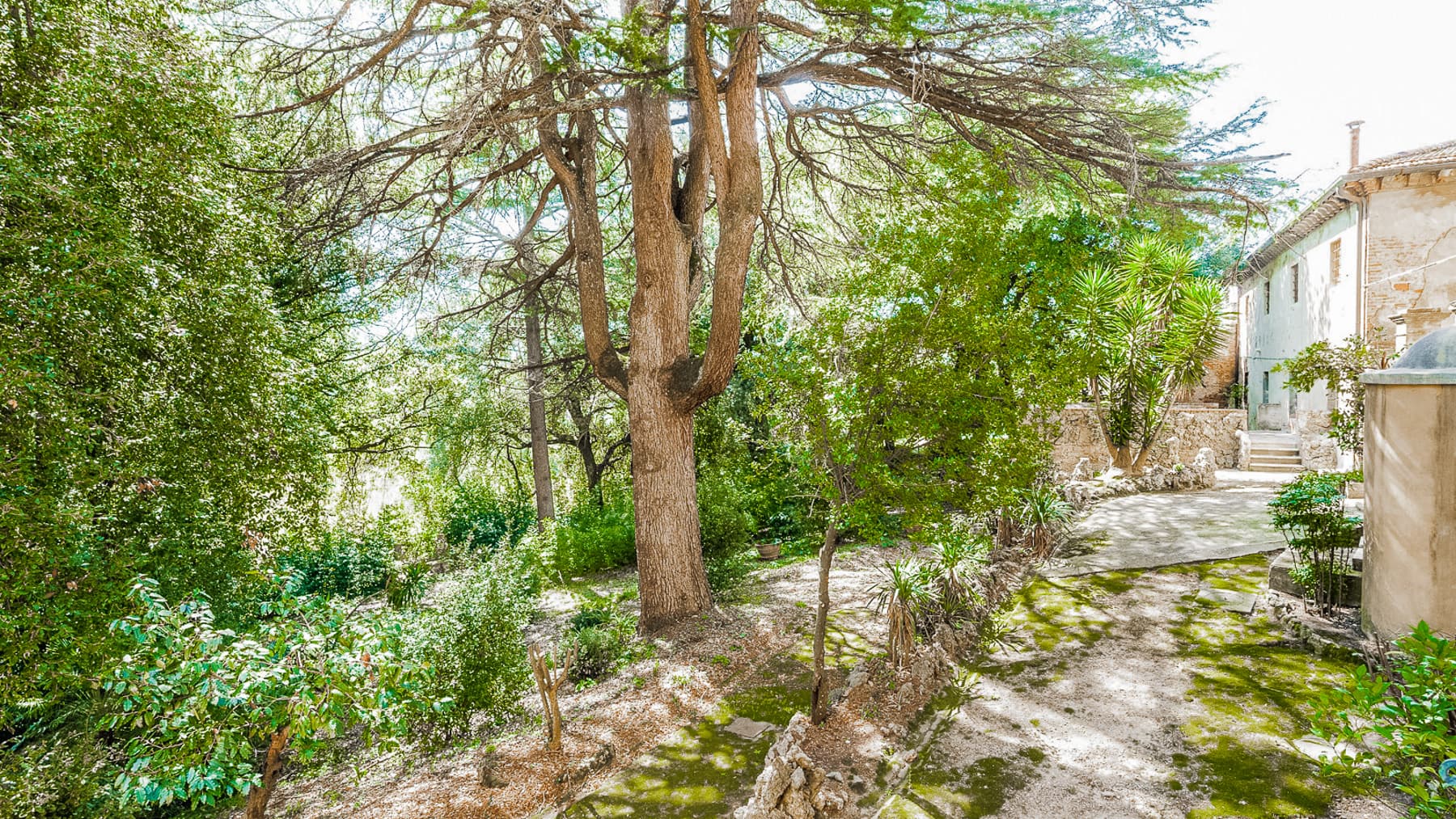Big Image 13
