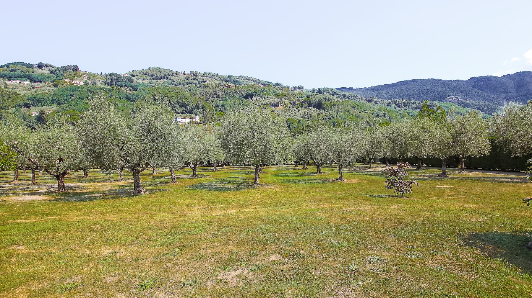 Big Image 19