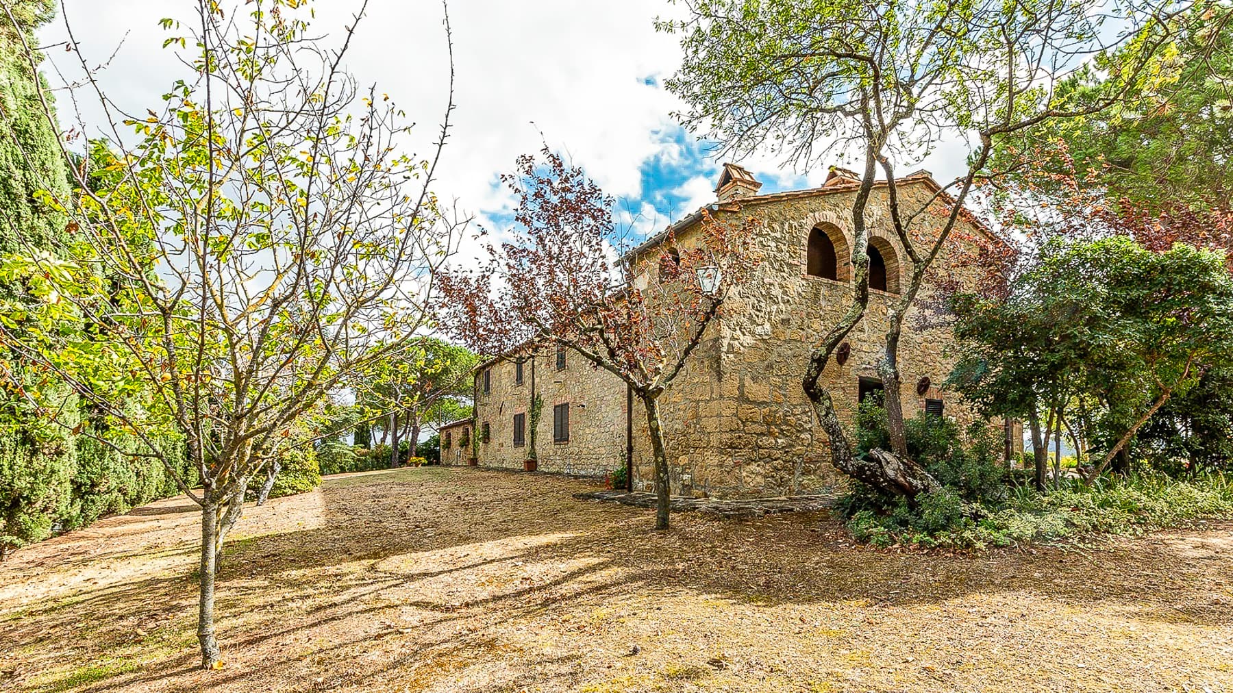 Big Image 19