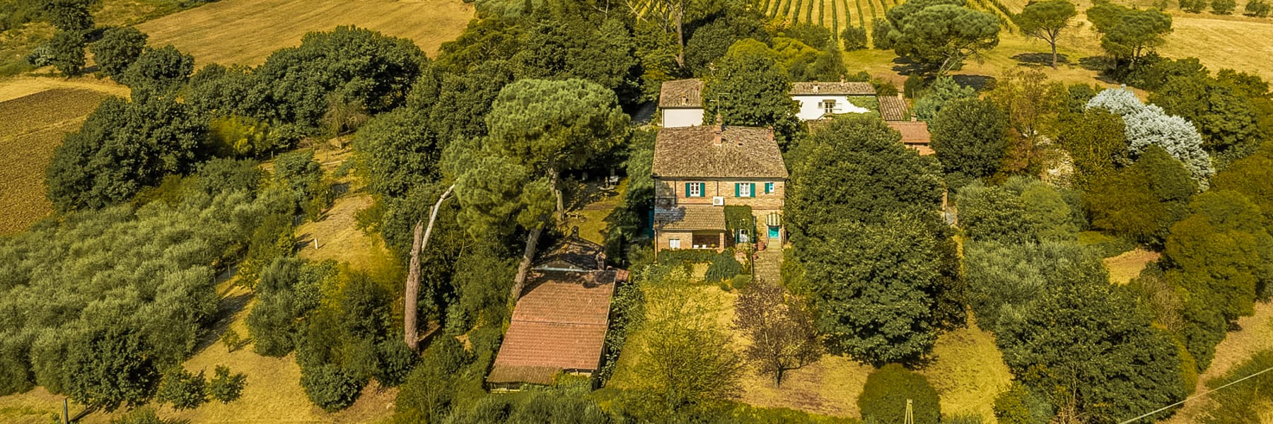 Rustic Country House in Foiano della Chiana, Tuscany
