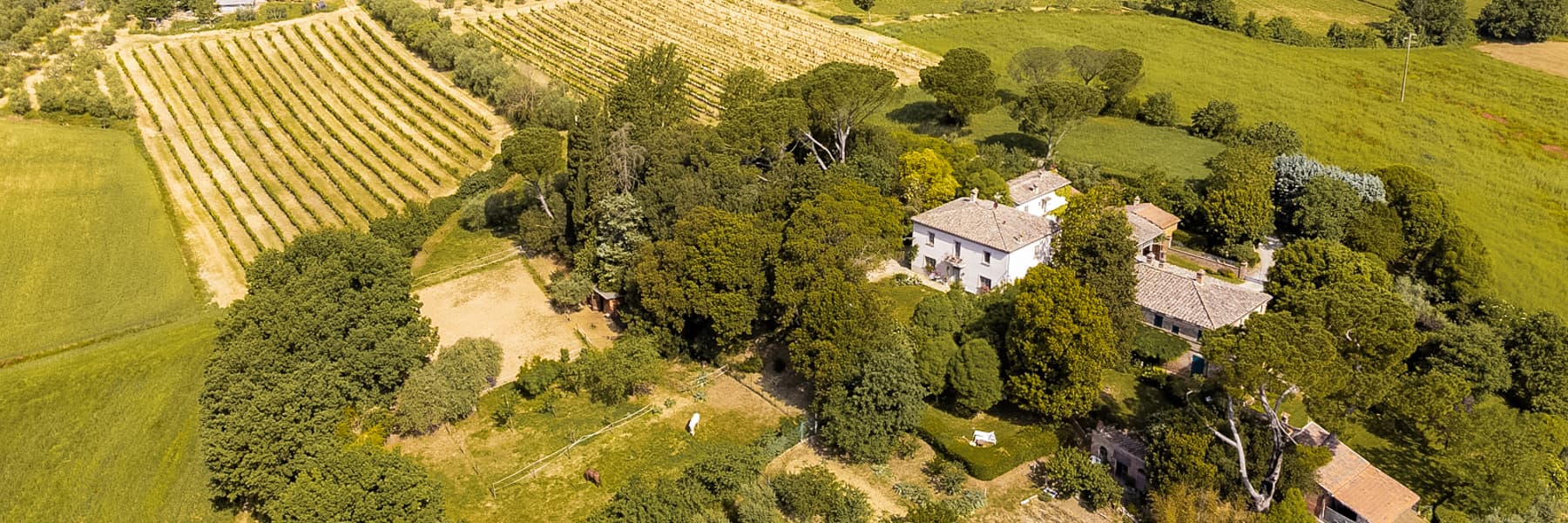 Charming Villa in Tuscany Countryside, Foiano della Chiana