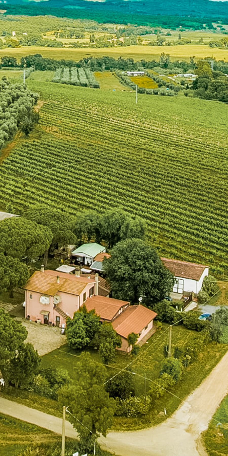 Rustic Country House in Tuscany's Roccastrada Hills