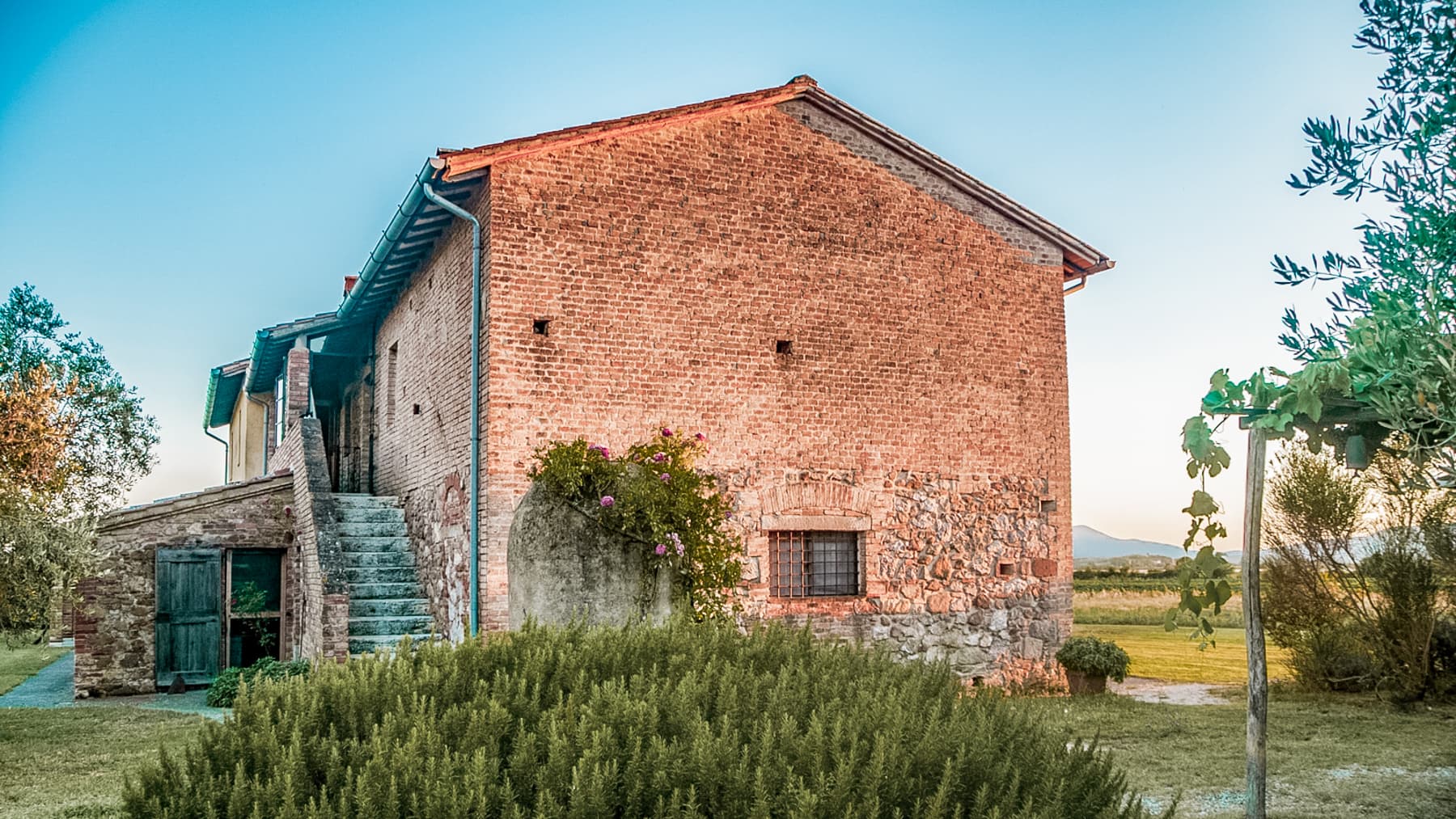 Big Image 16