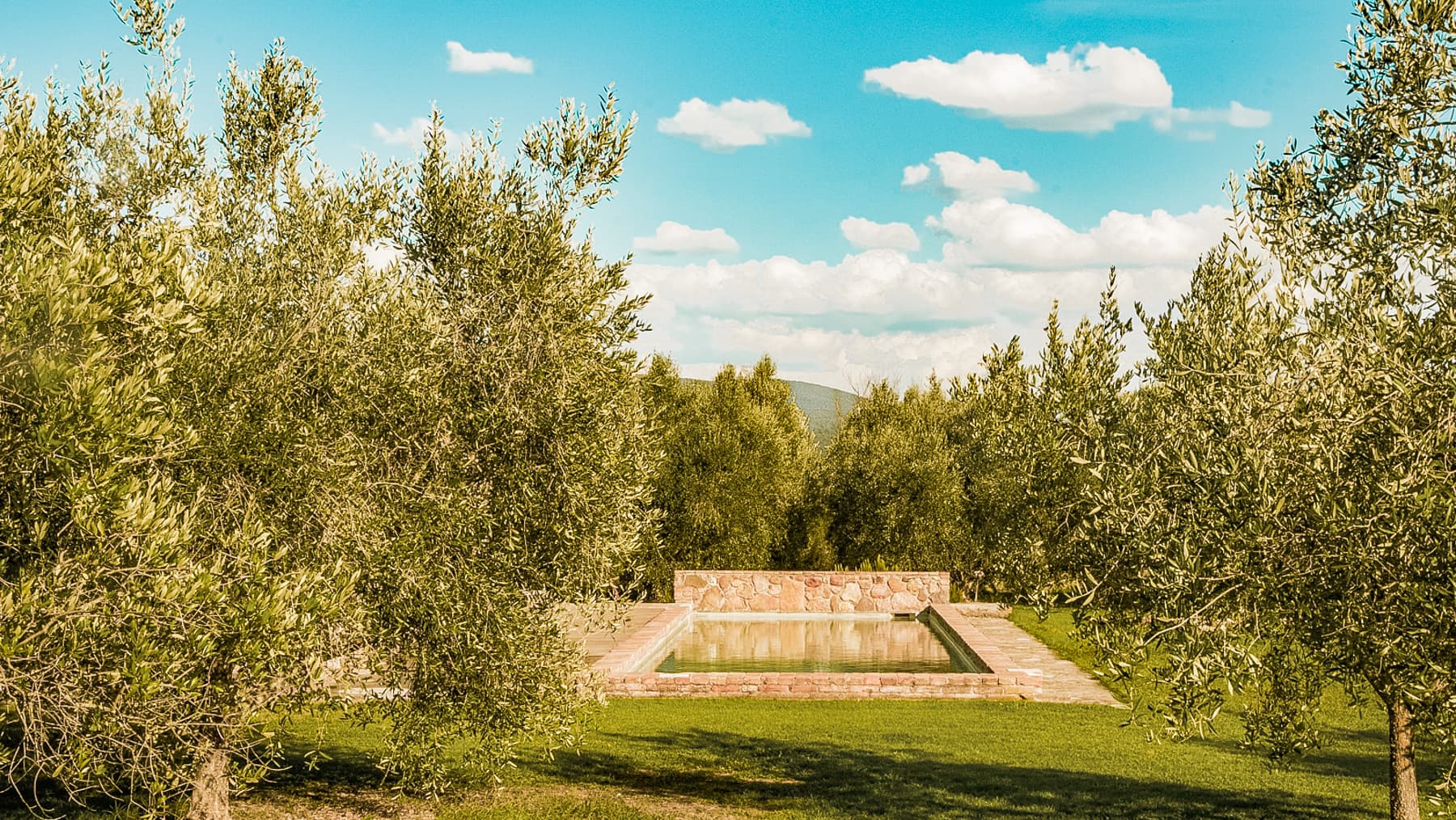 Big Image 19