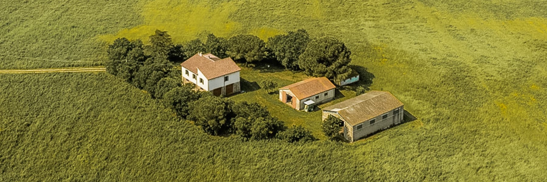 Rustic Country House in Capalbio, Tuscany Countryside