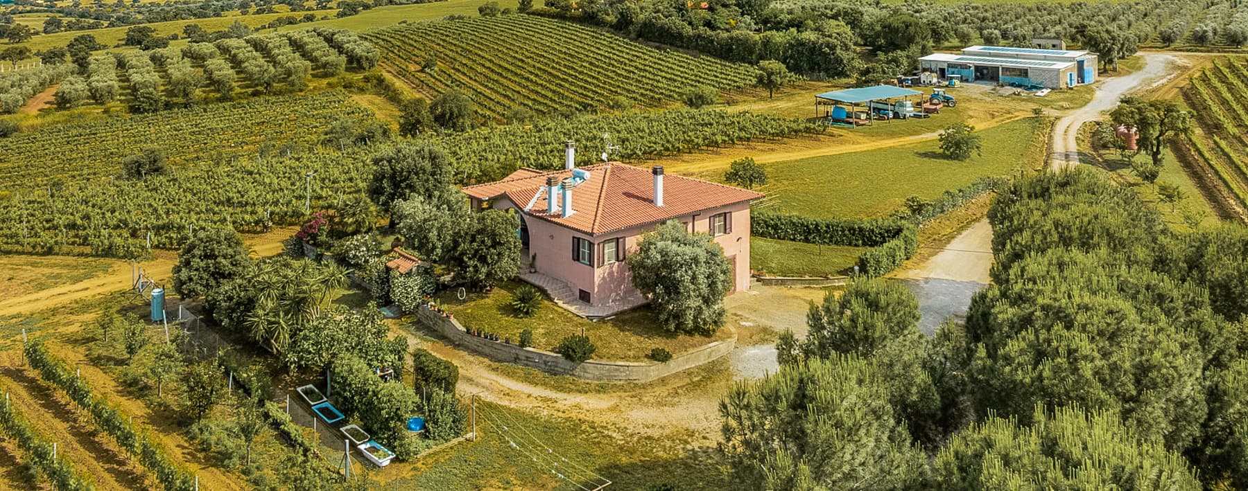 Rustic Country House in Tuscany Near Grosseto