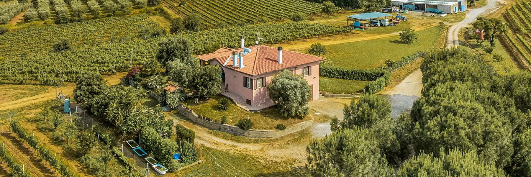 Rustic Country House in Tuscany Near Grosseto