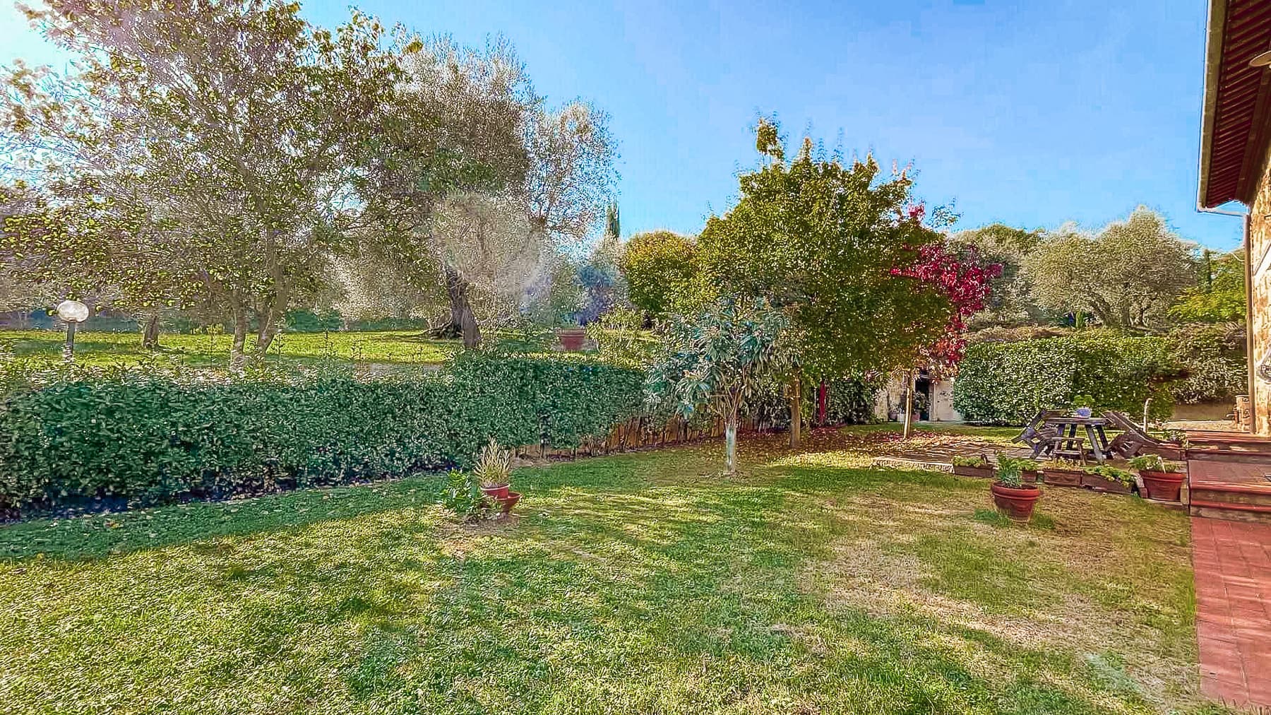 Big Image 14