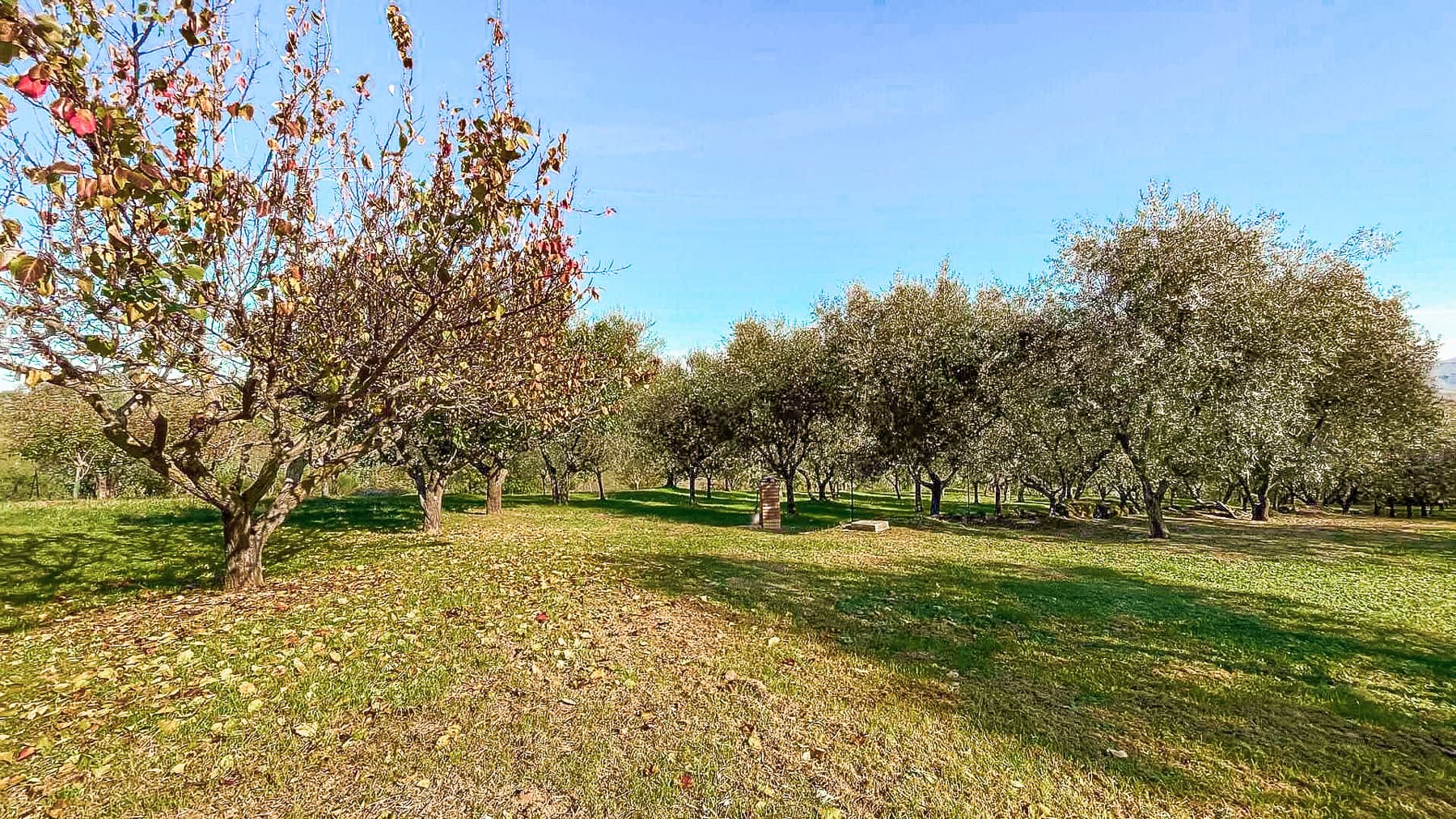 Big Image 19
