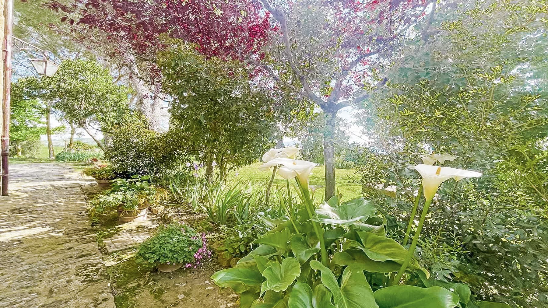 Big Image 12