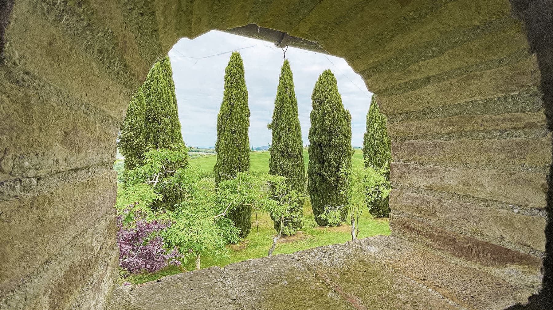 Big Image 18