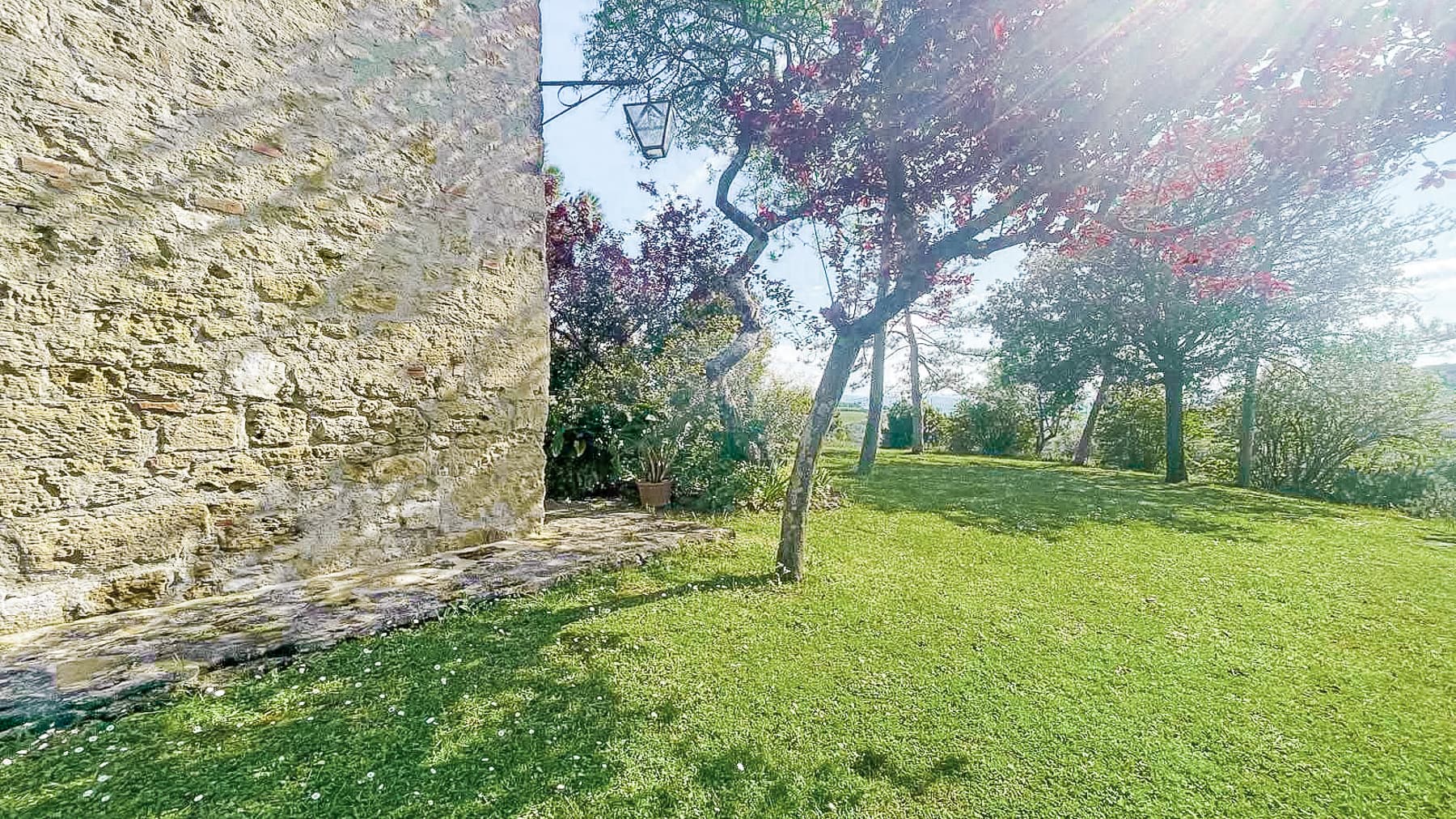 Big Image 19