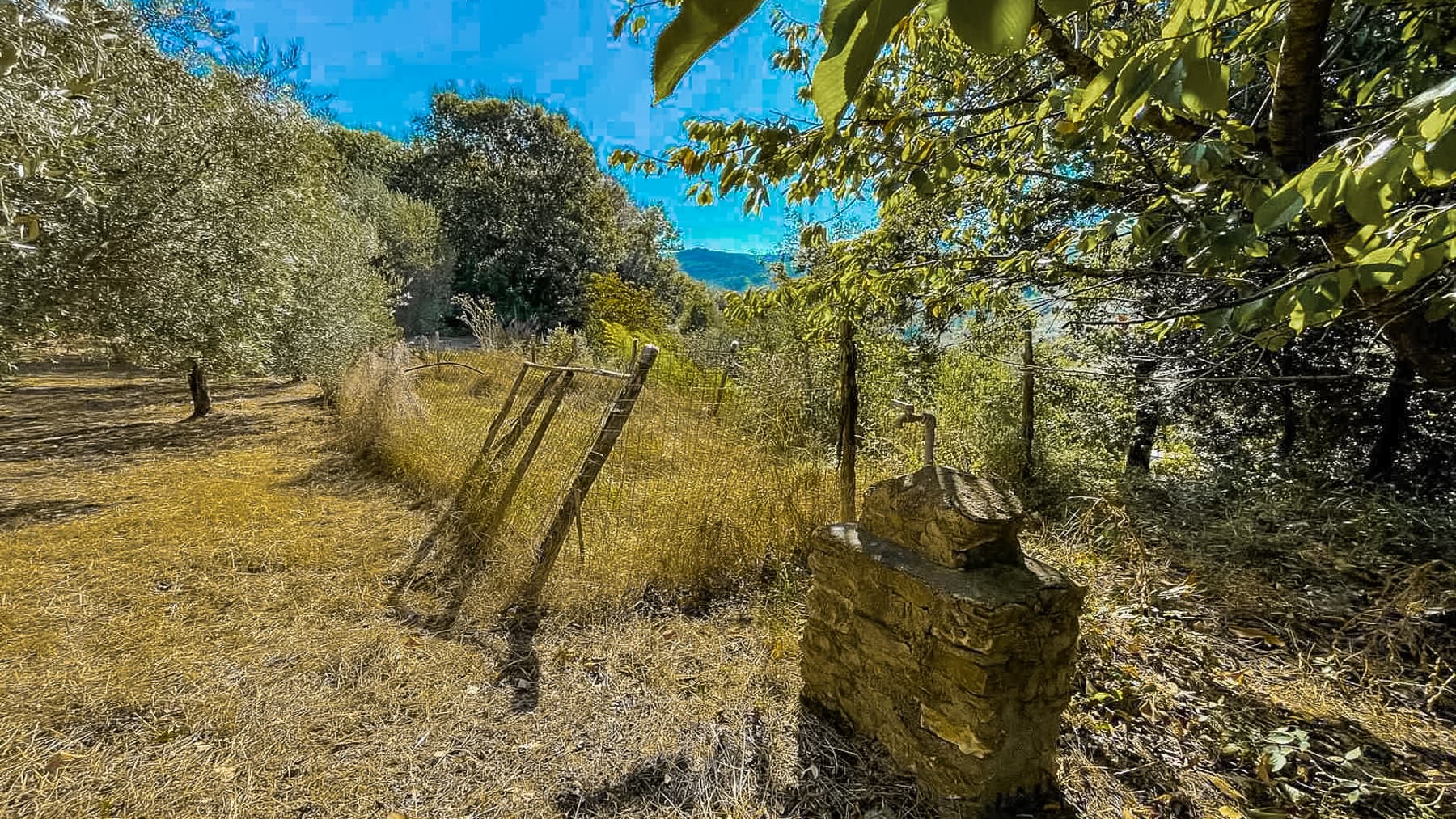 Big Image 29