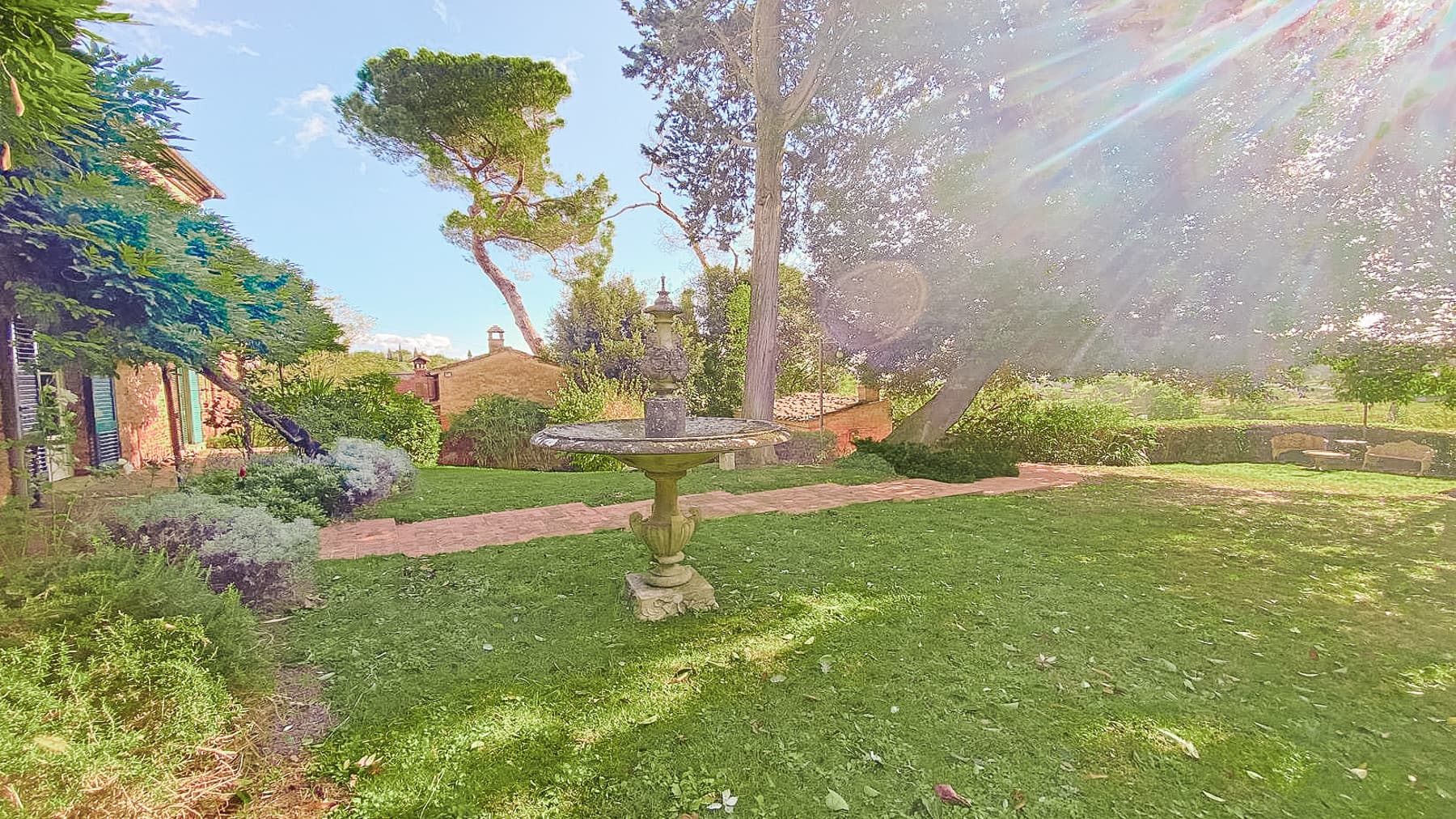 Big Image 17
