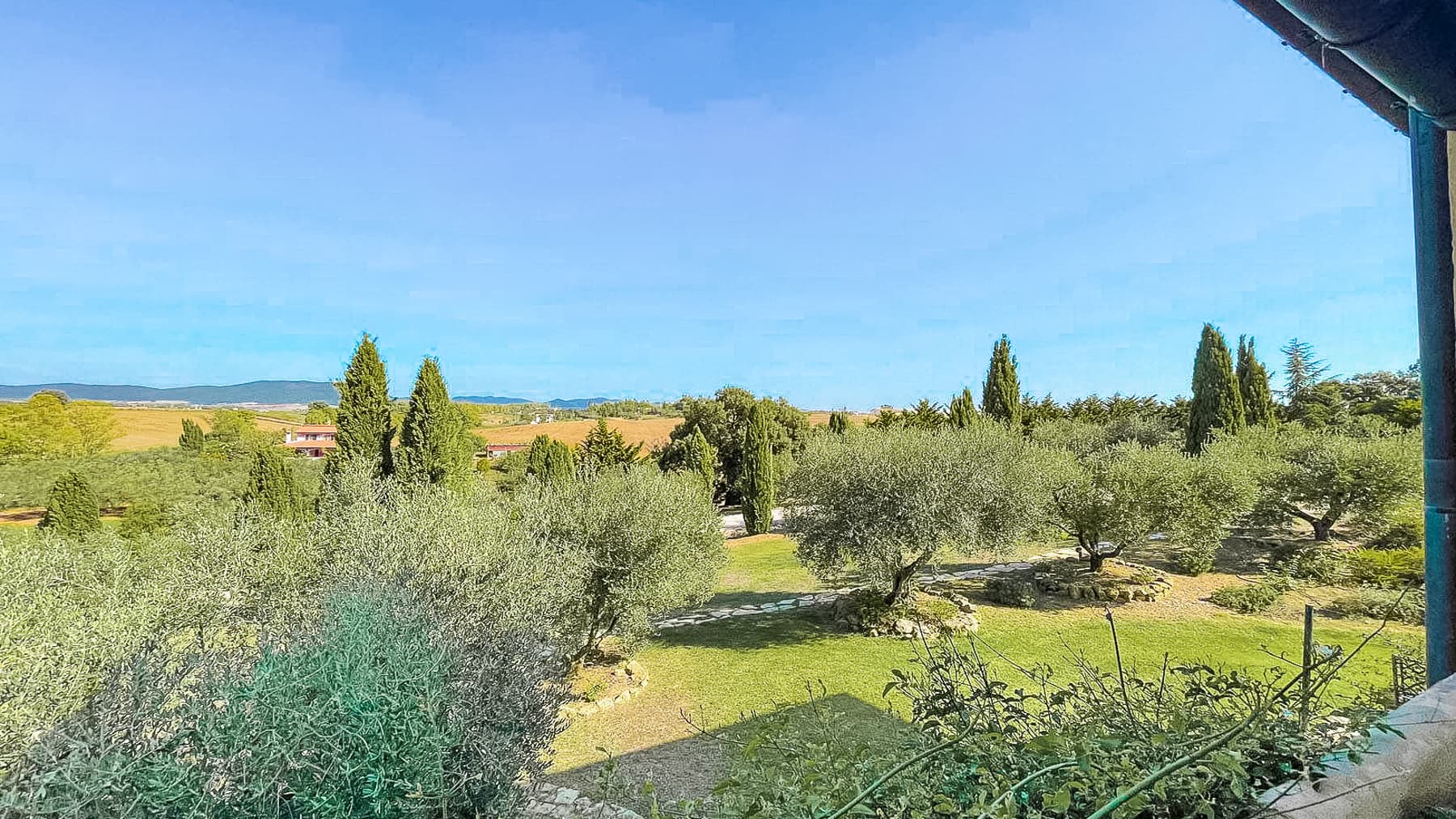 Big Image 18