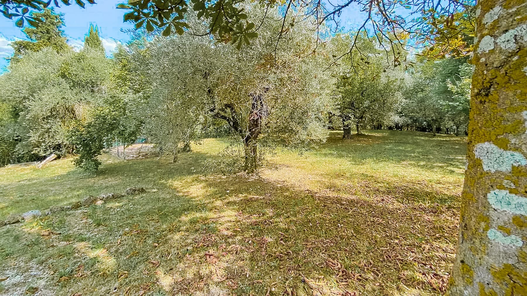 Big Image 7