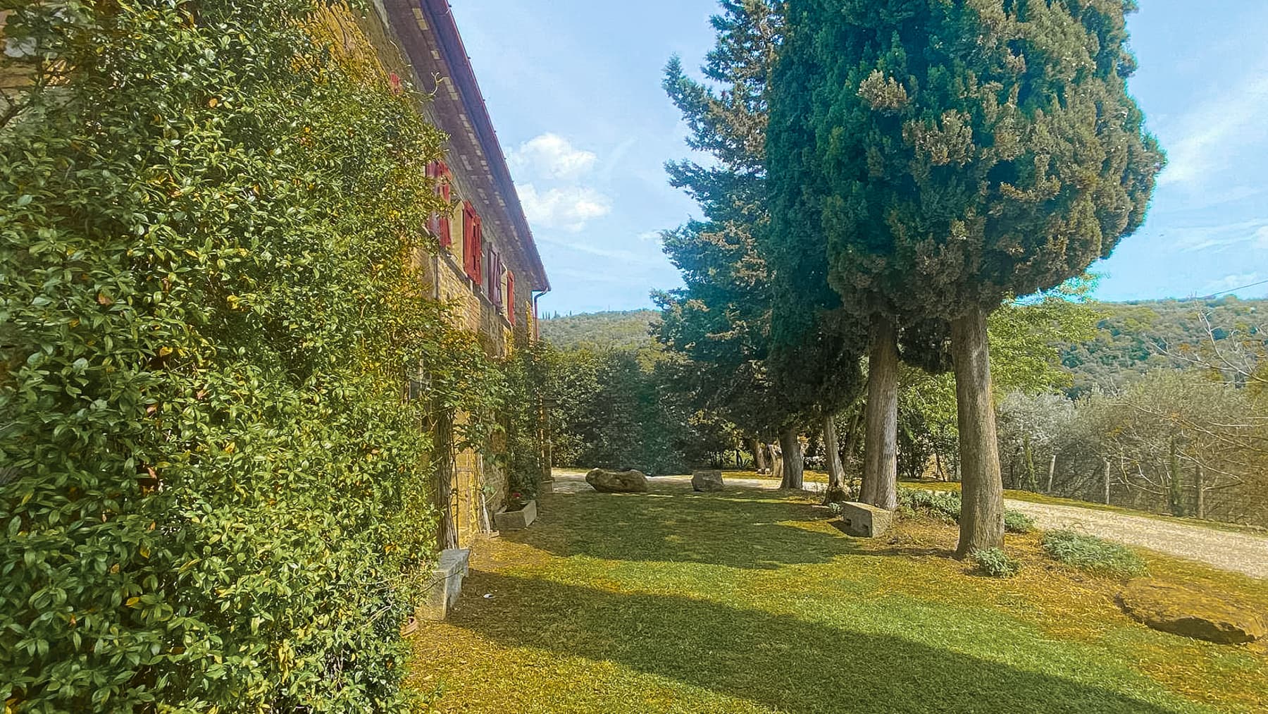 Big Image 16