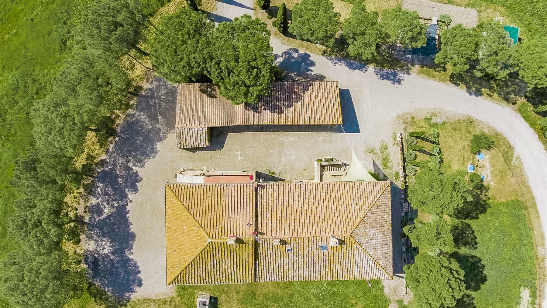Big Image 1