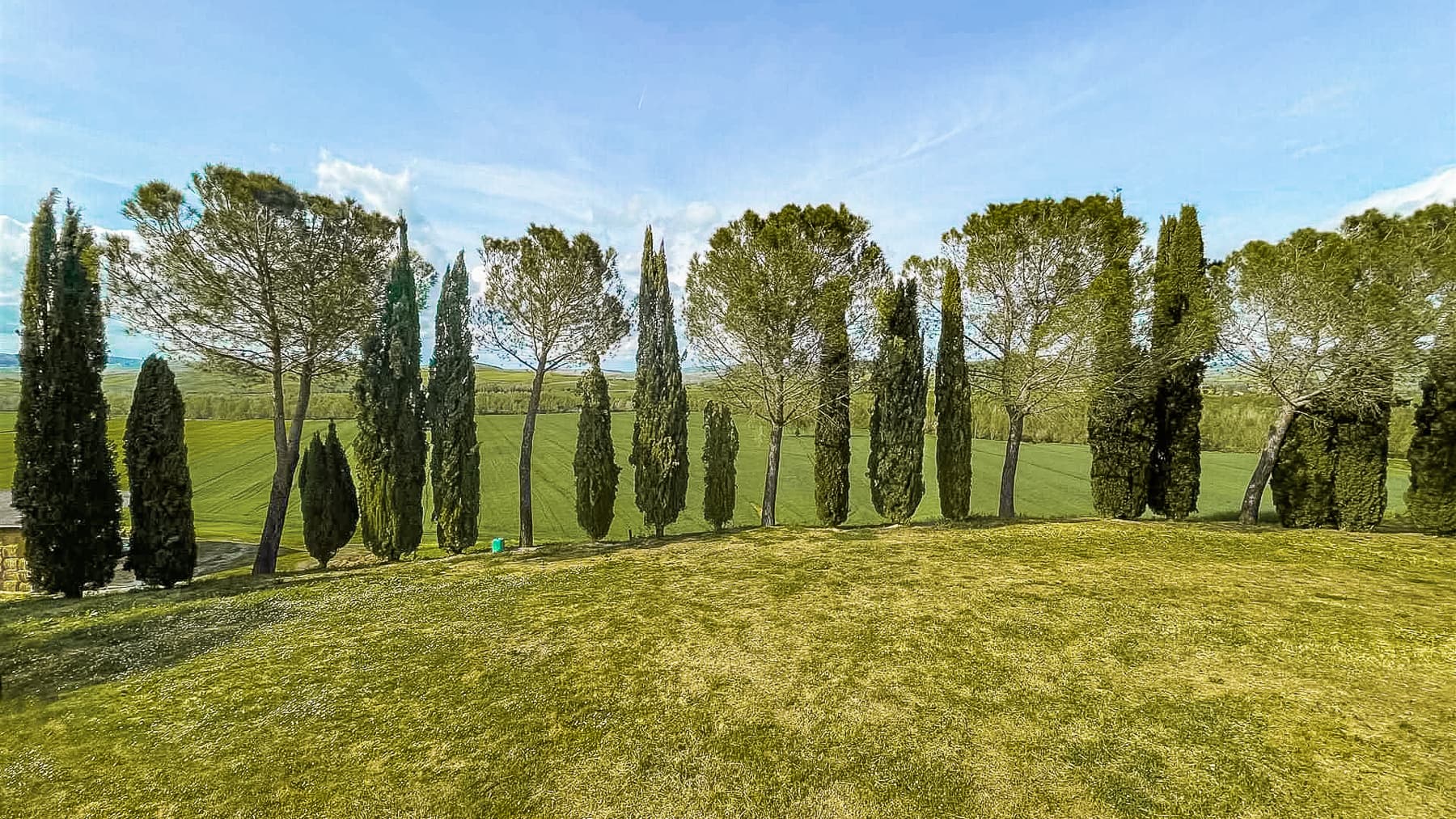 Big Image 15
