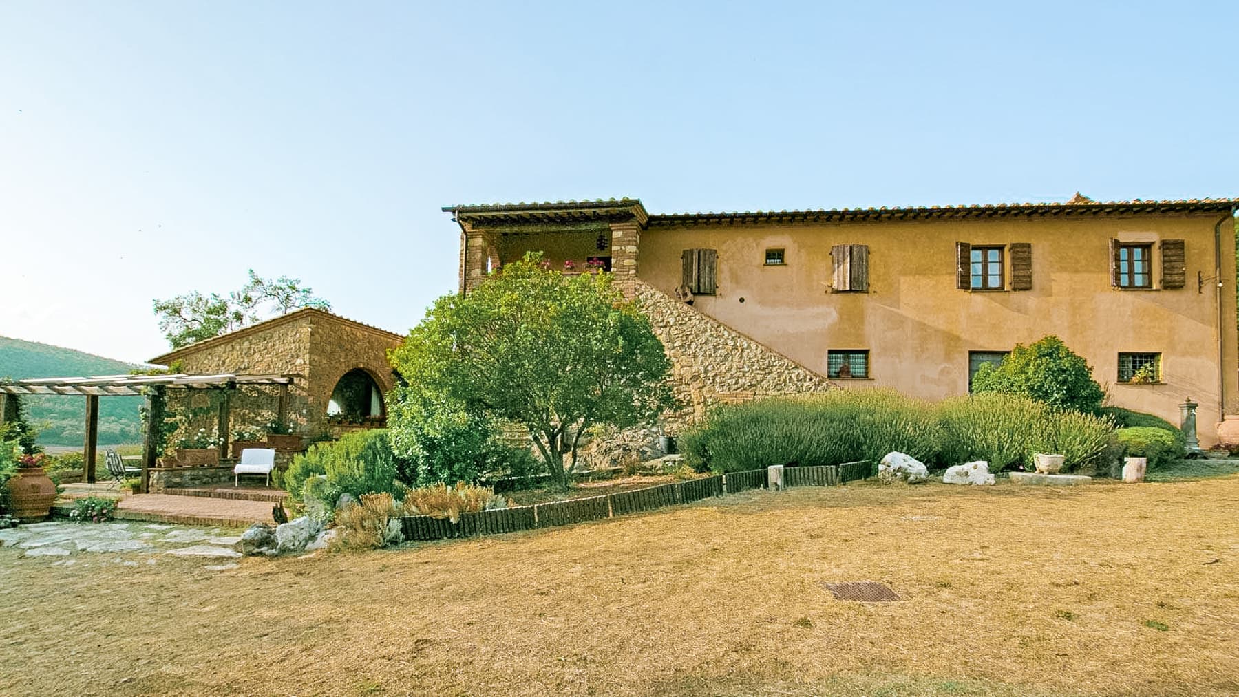 Big Image 16
