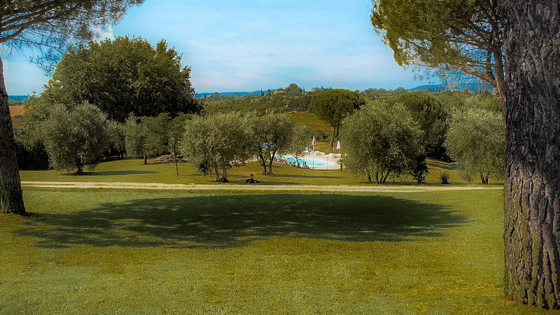Big Image 24