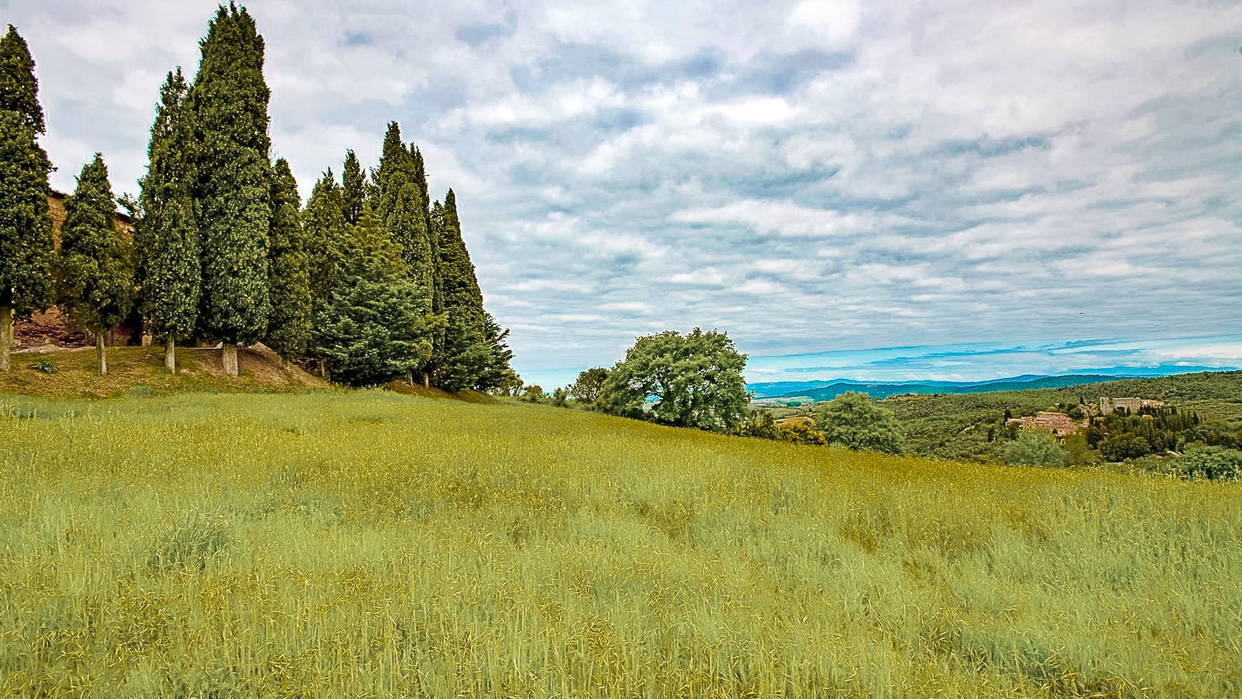 Big Image 18