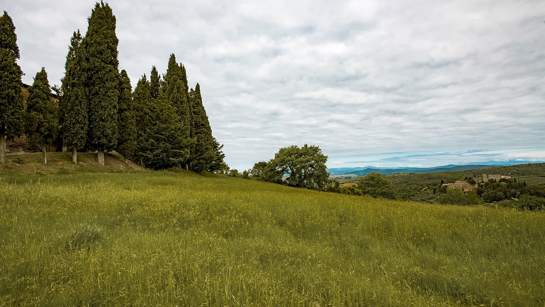 Big Image 20