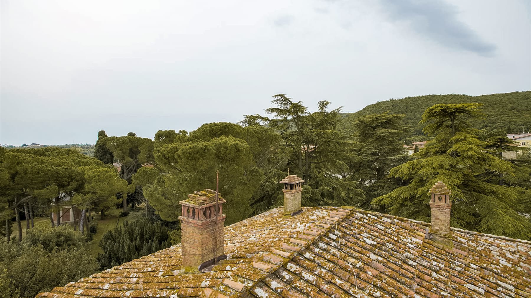Big Image 16