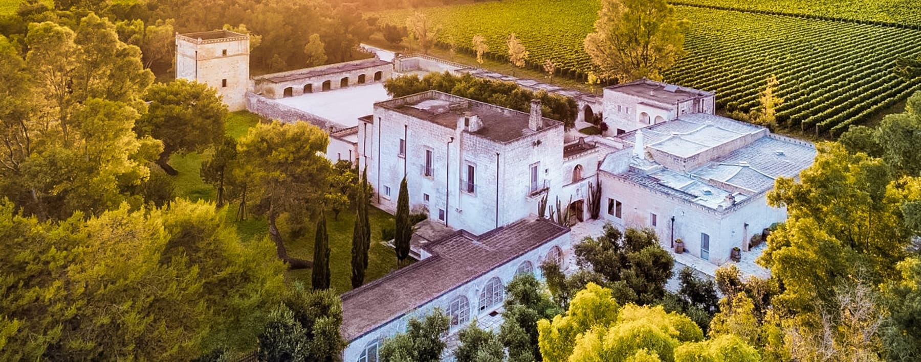 Rustic Country House in Torre Santa Susanna, Puglia