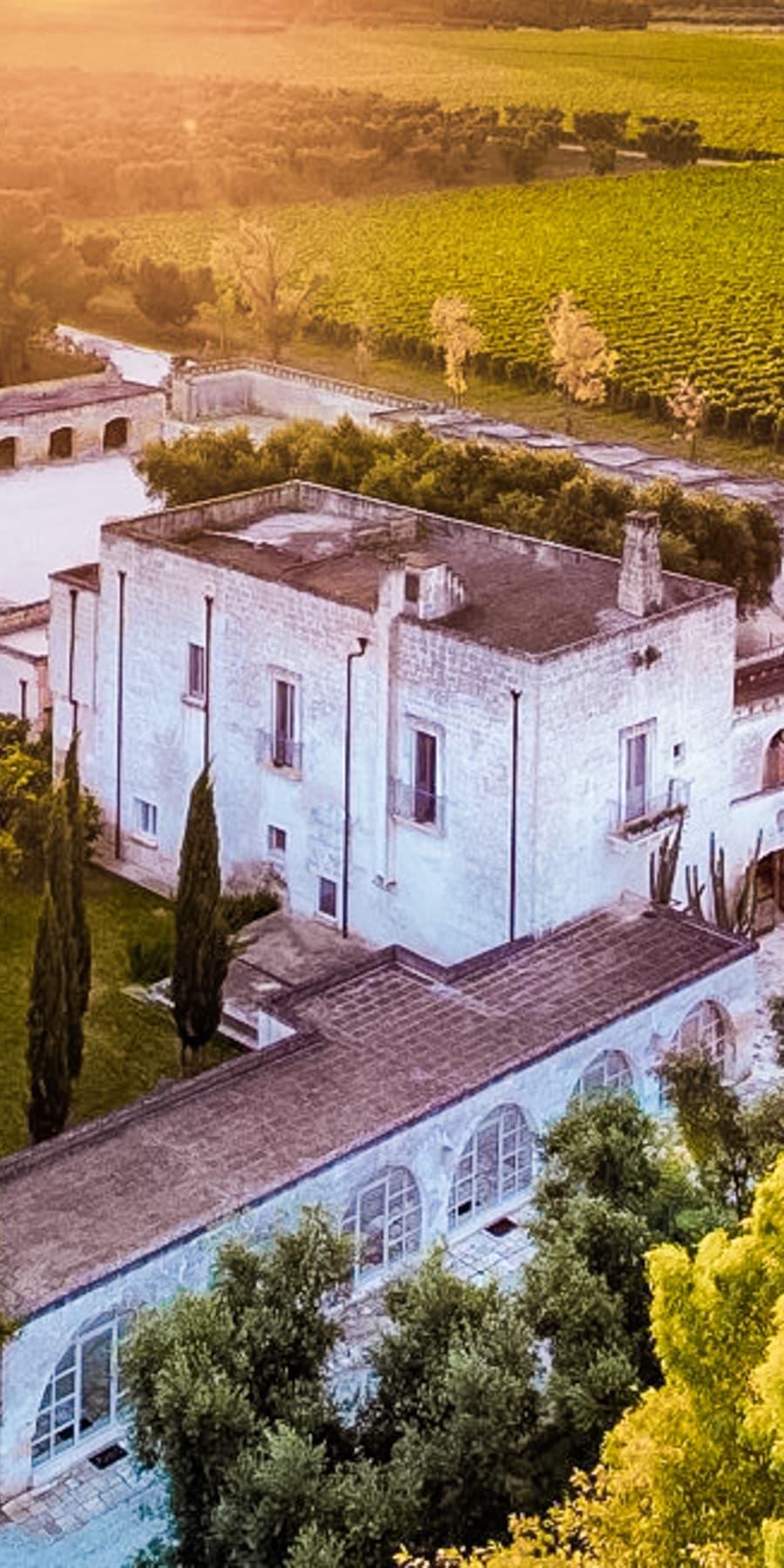 Rustic Country House in Torre Santa Susanna, Puglia