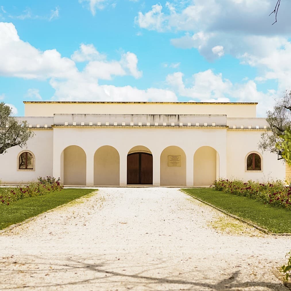 Rustic Country House in Torre Santa Susanna, Puglia