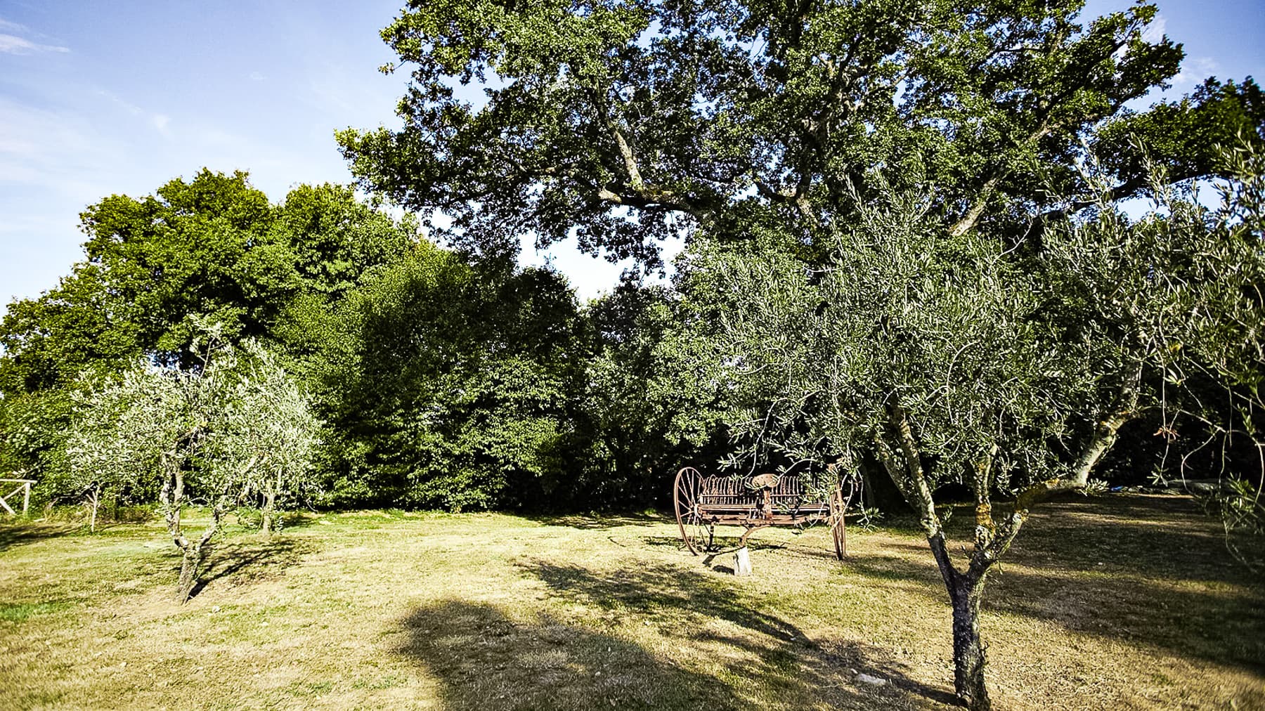 Big Image 22