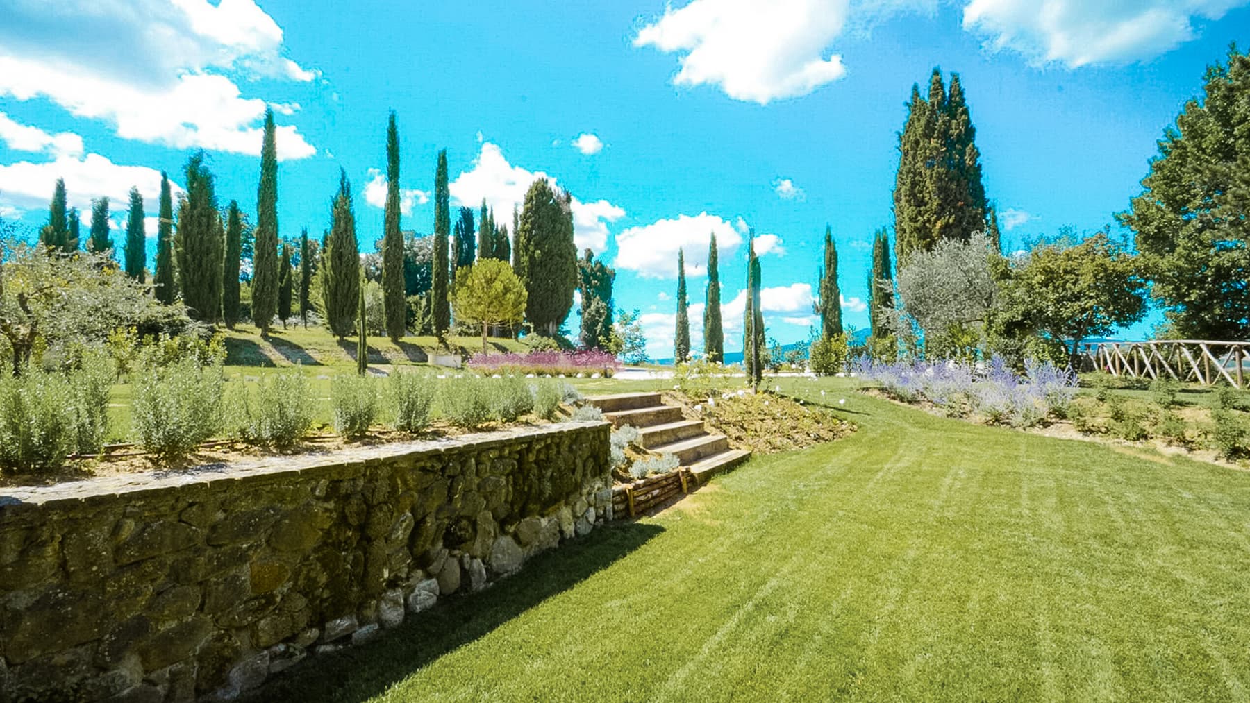Big Image 13