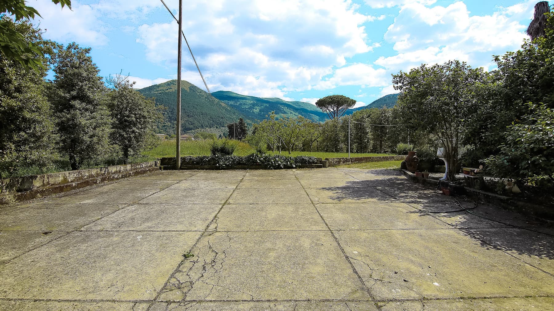 Big Image 11