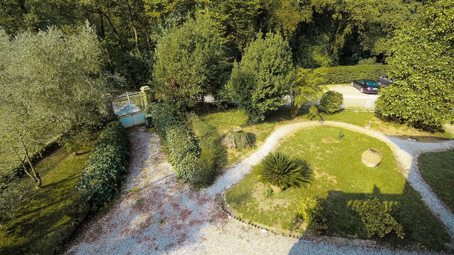 Big Image 19