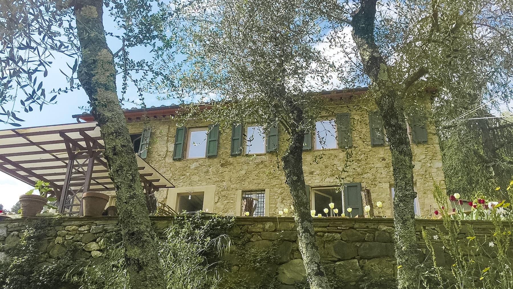 Big Image 14